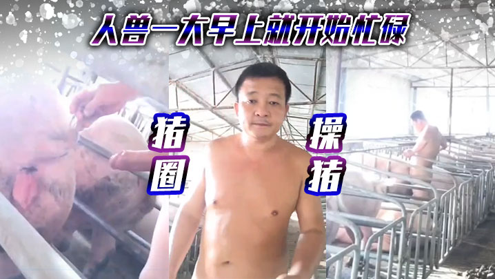 猪圈操猪，人兽一大早上就开始忙碌